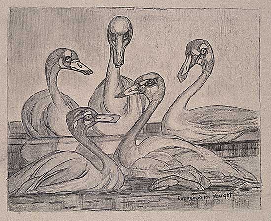 #2255 ~ McNaught - Trumpeter Swan Teenagers