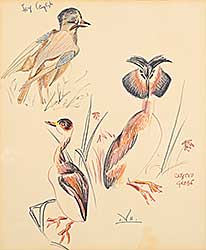 #2194 ~ Kerr - Untitled - Jay English and Crested Grebe