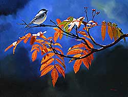 #2197 ~ Kiss - Chickadee on Mountain Ash