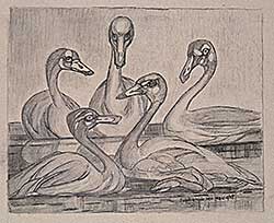 #2255 ~ McNaught - Trumpeter Swan Teenagers