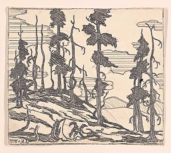 #2276 ~ Nicoll - Untitled - Tree Sketch