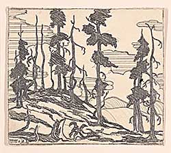 #2276 ~ Nicoll - Untitled - Tree Sketch