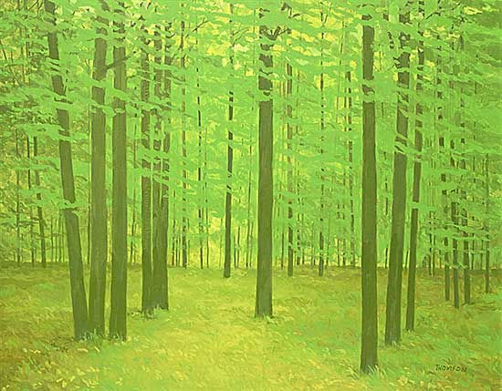 #2373 ~ Thomson - A Calm Walk