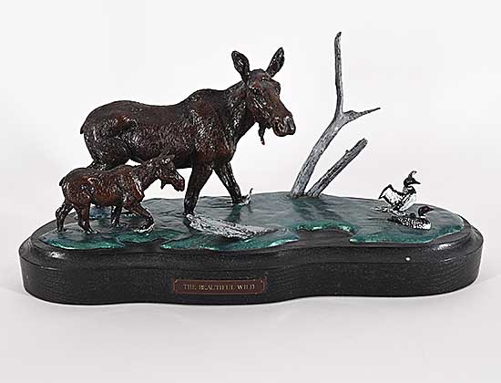 #2377 ~ Toney - The Beautiful Wild  #1/35