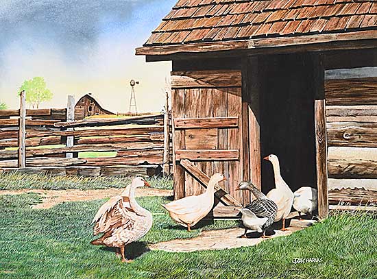 #2413 ~ Zacharias - Untitled - Ducks Heading In
