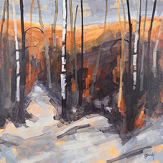 #2415 ~ Zasadny - Edgemont