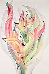 #2361 ~ Sutton - Heliconia