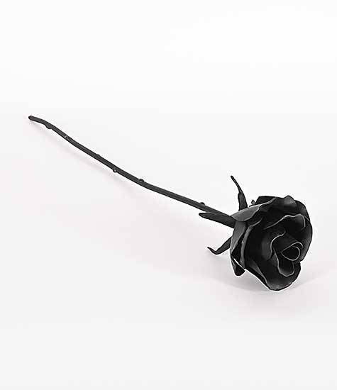 #1022 ~ Ludwig-Burgess - Black Rose
