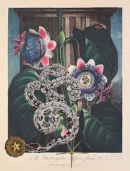#1107 ~ Mok - Radial Symmetry
