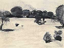 #1105 ~ Lochhead - Arboretum #11