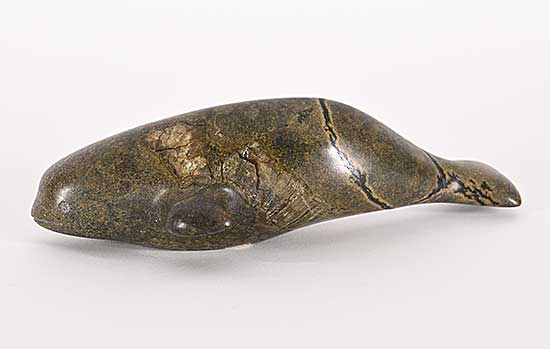 #1250 ~ Boaz - Untitled - Swimming Seal