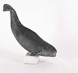 #1313 ~ Malliki - Untitled - Diving Narwhal