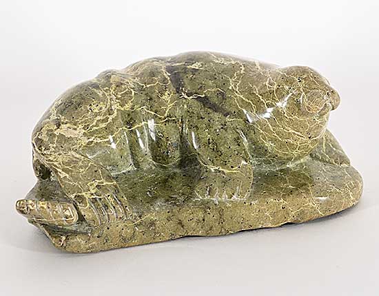 #1410 ~ School - Untitled - Resting Seal