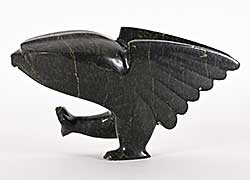 #1439 ~ Sharky - Untitled - Angry Bird