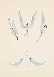 #1445 ~ Sivuak/Amamatuak - Three Birds, Two Fish  #5/50