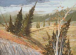 #1520 ~ Charlesworth - Untitled - Under Cloud
