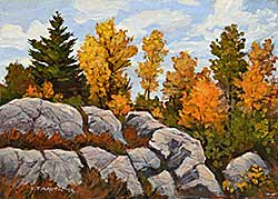 #1561 ~ Martin - Whiteshell