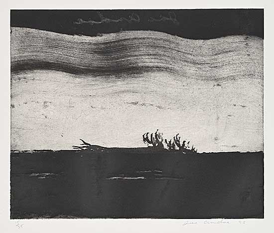 #103 ~ Andoe - Untitled - Fallen Tree  #15/35
