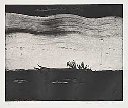 #103 ~ Andoe - Untitled - Fallen Tree  #15/35