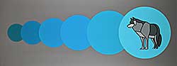 #153 ~ Carter - Circle, Circle, Circle, Circle, Circle, Wolf