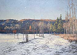 #239 ~ Flodberg - Edworthy Park, Morning