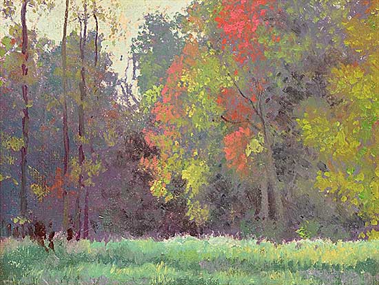 #329 ~ Johnston - A Marshy Spot