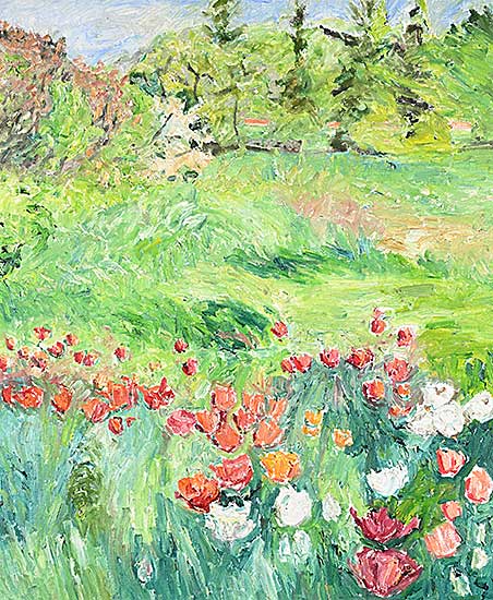 #344 ~ Knowles - Tulips in a Field