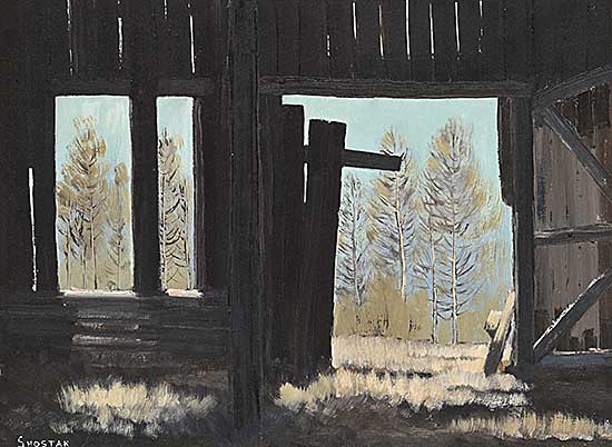#524 ~ Shostak - Looking Out