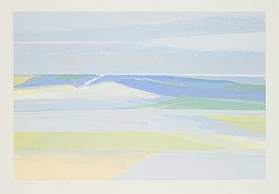 #529 ~ Smith - Sandspit  #1/40