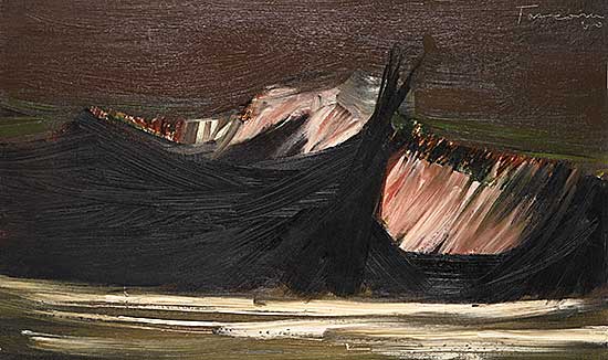 #539 ~ Tascona - Arctic Nite