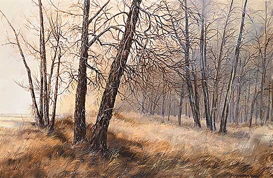 #567 ~ Wong - Untitled - Serenity in Fish Creek