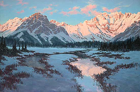 #571 ~ Wood - Winter Sun [Kananaskis]