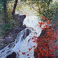 #503 ~ Rodin - Warm Light on Upper Falls