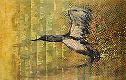 #544 ~ Thomas - Loon [Arctic]
