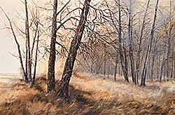 #567 ~ Wong - Untitled - Serenity in Fish Creek