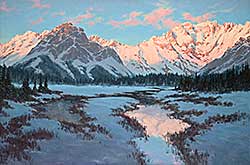 #571 ~ Wood - Winter Sun [Kananaskis]