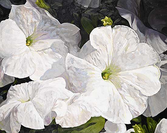 #2004 ~ Allan - Good Natured