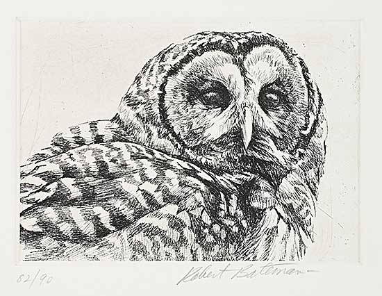 #2014 ~ Bateman - Untitled - Owl  #82/90