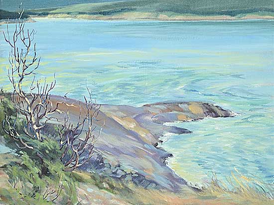 #2030 ~ Braid - Rockspit Windy Point