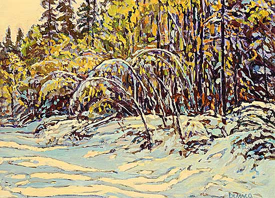 #2074 ~ Duma - October Snow