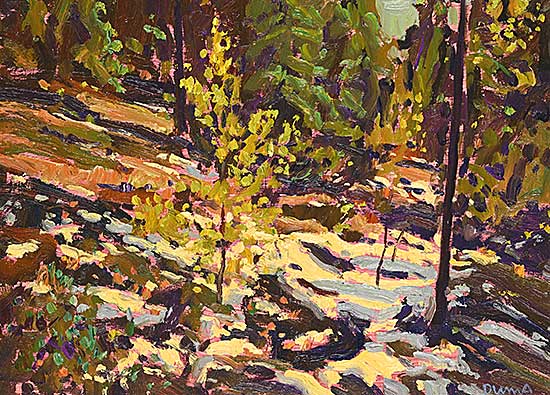 #2076 ~ Duma - Patches of Snow