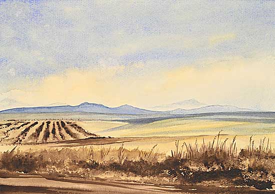 #2077 ~ Earl - Untitled - Quiet Fields