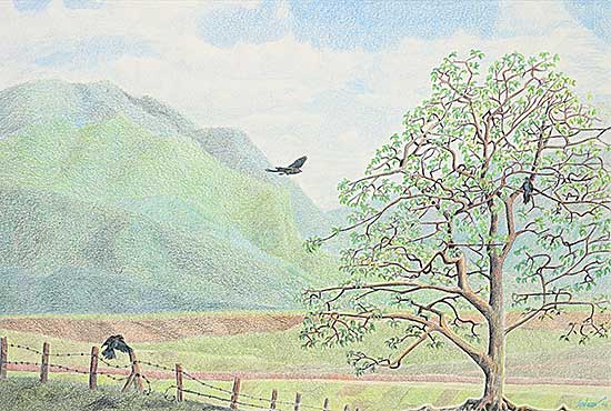 #2079 ~ Engel - Untitled - The Resting Tree