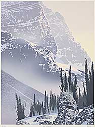 #2008 ~ Arndt - Face of Stephen  #49/78