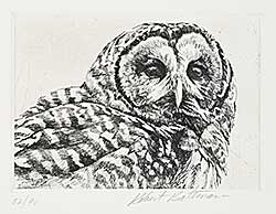 #2014 ~ Bateman - Untitled - Owl  #82/90