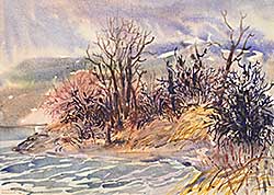 #2043 ~ Campbell - Windermere Lake