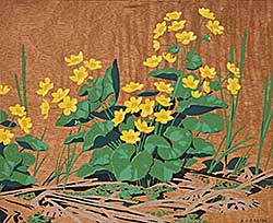 #2045 ~ Casson - Untitled - Marsh Marigold Cowslip