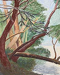 #2068 ~ Dean - Branching Out