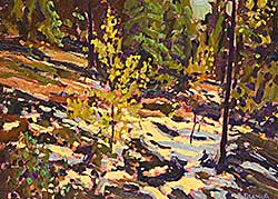 #2076 ~ Duma - Patches of Snow