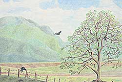 #2079 ~ Engel - Untitled - The Resting Tree